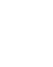 Steelo's Studio & Spa logo